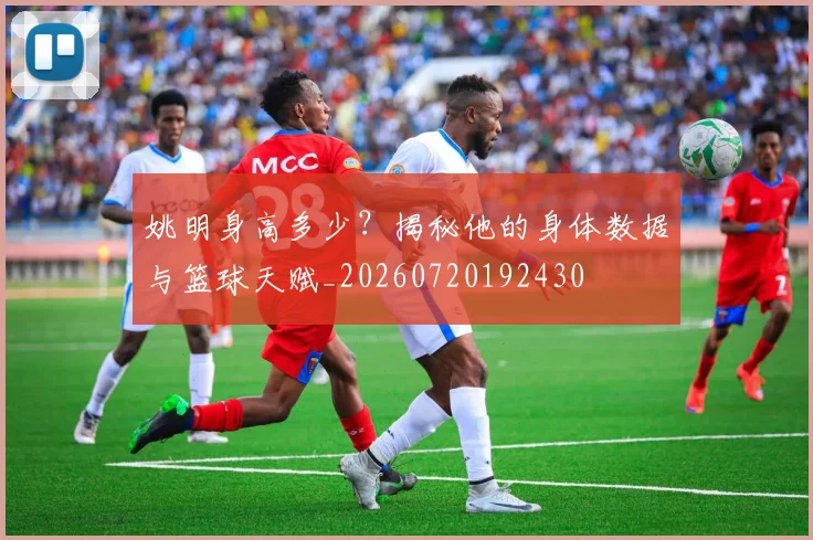 姚明身高多少？揭秘他的身体数据与篮球天赋_20260720192430