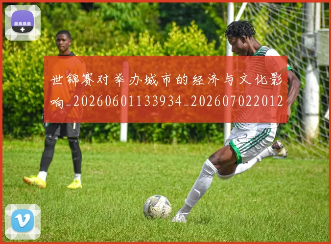 世锦赛对举办城市的经济与文化影响_20260601133934_20260702201202