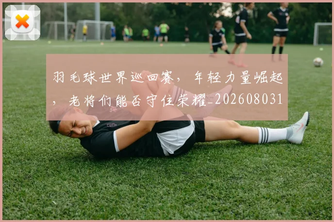 羽毛球世界巡回赛,年轻力量崛起,老将们能否守住荣耀_20260803143620